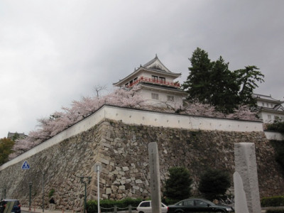 ʡκ˻ޤ줫餤褤ǮŪʵ᤬Ϥޤޤ